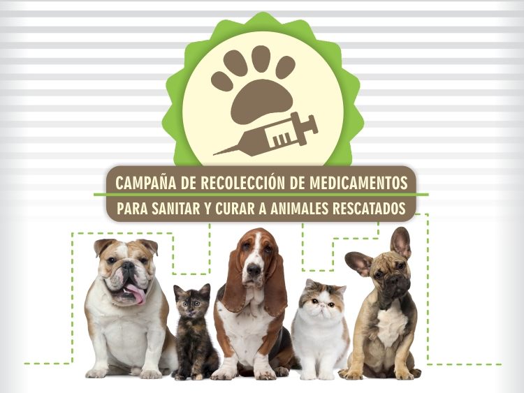 Campaña de Recolección a favor de los animales rescatados